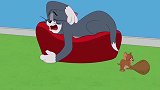 猫和老鼠：通过看汤姆和杰瑞，你可以学到很多物理定律！