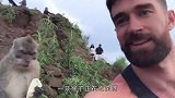 男子喂食路边猴子，竟直接被淹没其中，场面太惊险了