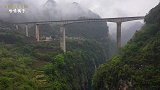 实拍贵州大山里的1户人家，隐居深山养娃娃鱼，年入上百万