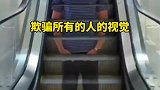 欺骗所有人的视觉