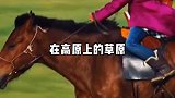 河北八个人间仙境，不信你就来看一看吧