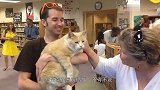 男子收养了一只流浪猫，结果门口每天都会出现一笔钱，厉害了