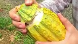 水果的正确吃法