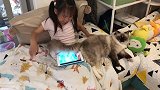 猫咪又被嫌弃了，谁叫你的尾巴遮住她的平板了