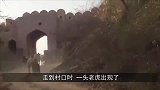 狮子进村捕杀家牛，结果被男子一棒子打走，下一秒忍住别笑！