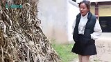 姑娘捡个乞丐回家，父亲不嫌弃认他做女婿，1年后母亲上门暖心了