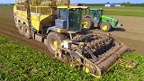 美国制造的甜菜收获机真先进，这样的装车方式很少见