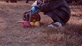 一直这么的看这你，你在美丽的夕阳下，显得格外的漂亮