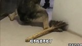 奶奶，你就放过我吧，我真的吃不下了