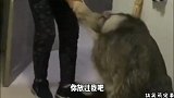 奶奶，你就放过我吧，我真的吃不下了