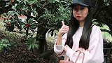 夏天到了，又到了吃杨梅的季节无用的知识