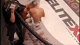 UFC-14年-UFC178自由格斗：阿尔瓦雷斯vs伊巴内兹-专题