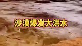沙漠瀑发大洪水，骆驼该走水路了