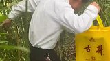 知道的是去探亲，不知道的以为去探险呢