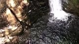 高山有好水