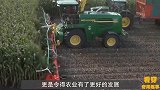 大爷发明自动“犁地机”，成本不到100块，一天轻松犁4亩地！