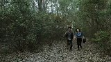 好不容易解决了变异鲨鱼，结果她居然生了孩子