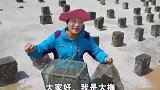 赶海笑脸鱼被遇到，觉得自己很没面子，真搞笑