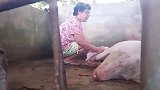 最奇怪的生物！背后的原因让人惊恐！