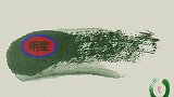 张碧晨华晨宇关系有进展两人同桌吃饭，女方手上钻戒抢镜