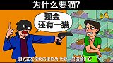 脑力测试：抢劫的男人为什么会要一只猫？