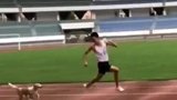 体育生在操场上联系短跑突然冲出一条狗追着他跑