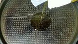 手不碰面也能做？