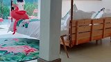 想你，也能成为嗜好