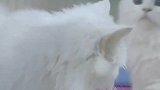 下面的被打了好几下啊