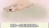 狗狗最后的一次陪伴！耐心看完！