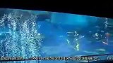 山东旅游-20111229-青岛海底世界