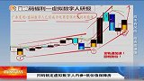 虚拟数字人内参+低估值保障房