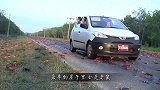 印度鲶鱼泛滥，池塘里黑压压的一片，网友鱼比水多！