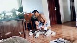 哈士奇：狗都不能干的事，没想到被你给干了