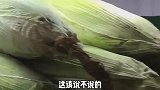 搞笑视频：买个车库用处真大，放几个玉米，它不香吗？