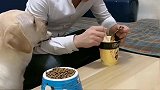 赛文挑食不吃饭，主人口是心非糊弄赛文，结果被它识破，主人好坏