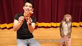 主人买了个“玩具猴”，家里的猴子看到后，反应太逗了