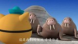 海底小纵队：小纵队进入海象的领域，被海象逼的跳水了