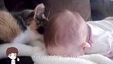 小猫撞见1岁宝宝在洗澡，下一秒请注意小猫的举动，看一次笑一次