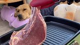 吃完这顿又要破产了