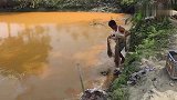 池塘里抛网捕鱼，橘黄色的水这是污染了？