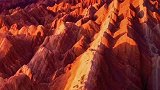 空山不见人，但闻人语响