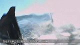 小伙将鲨鱼饿了3天，把一条鳗鱼放进去，鲨鱼会害怕电鳗吗？