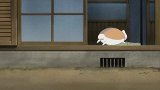 猫咪老师可爱瞬间，炸毛老师太可爱了！好像抱一只回家！