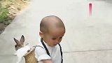 小和尚背着小兔子溜达，真担心他会把小兔子晃下来，好呆萌呀