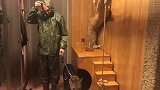 狮子穿雨衣出去遛弯，回来还乖乖的把脚洗干净，高素质狮子啊！