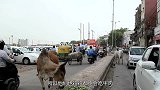 印度人不吃猪肉也不吃牛肉，那他们到底吃什么？说出来你别不信