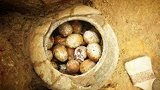 专家：鸡蛋壳就当着考古学家的面裂开，变质的蛋黄蛋清流出来将周围的空气熏得令人作呕在金鹰做向上青年