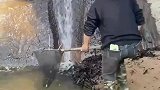 赶海捉海鲜，每次都是收获满满的一天