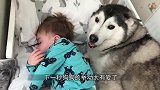 小宝宝睡在狗狗床上，下一秒狗狗的举动，太有爱了！